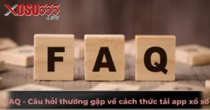 Các lựa chọn thay thế