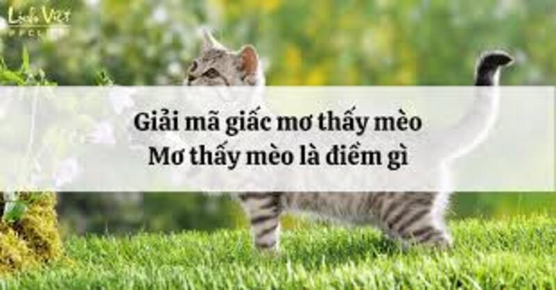 Ý nghĩa của giấc mơ về mèo
