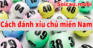 Cách sử dụng thống kê